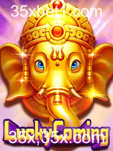 Descubra o Mundo Fascinante de LuckyComing